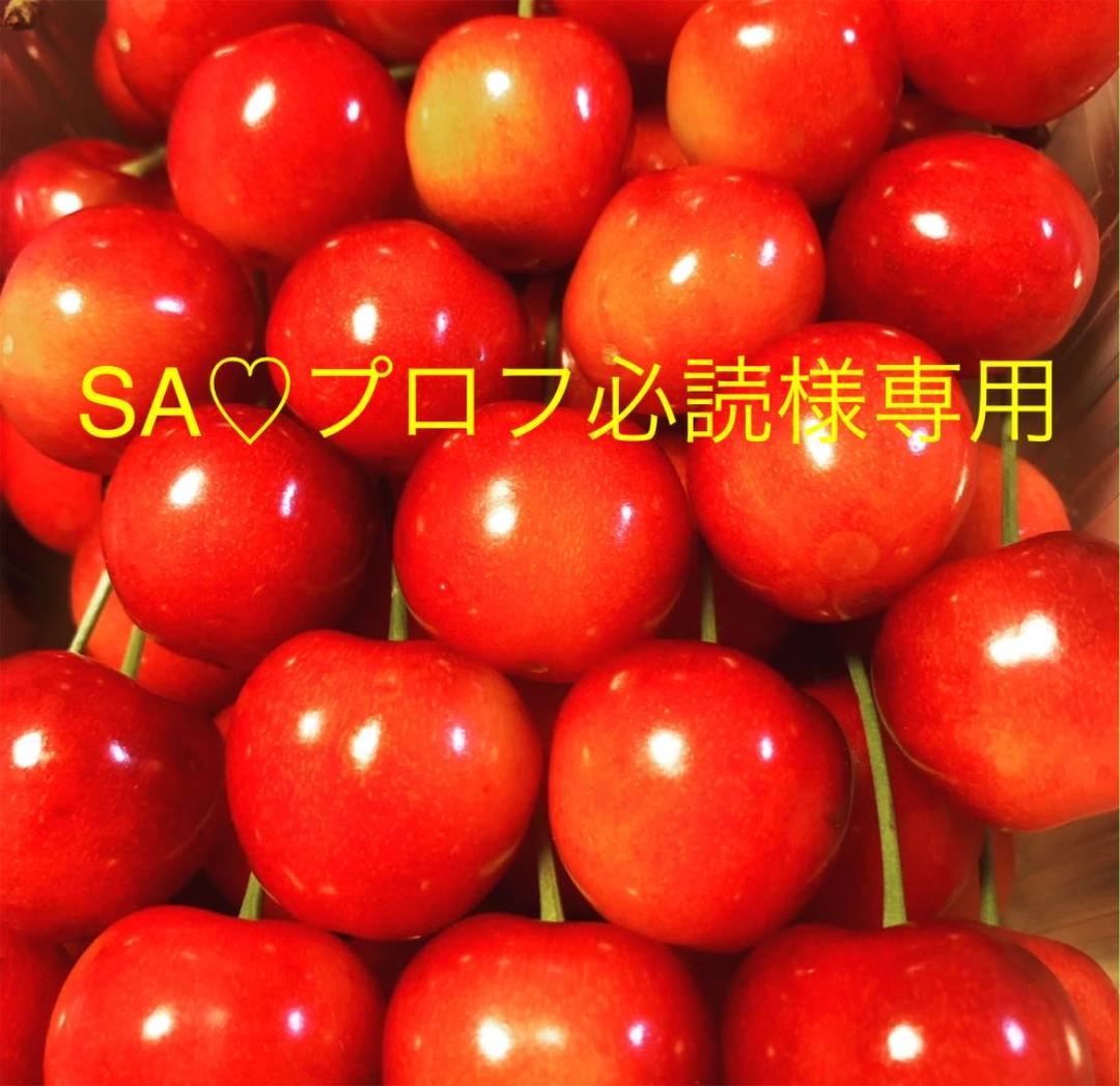 TOMATO様 専用 オンラインストア純正 www.m-arteyculturavisual.com