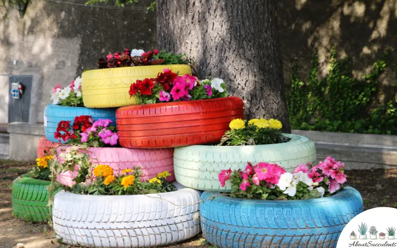 10 Beautiful Landscaping Ideas On A Budget - About Succulents